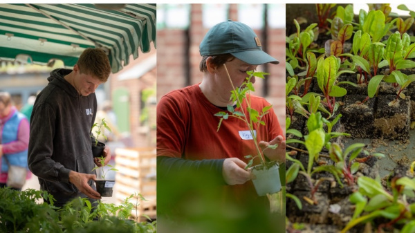 Besucher bestaunen die kleinen Pflanzen