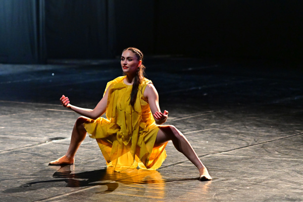 imPerfect Dancers Company