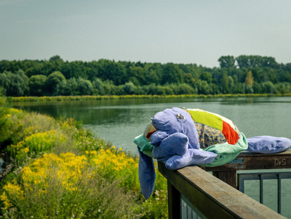 Schildi, die Schildkröte, auf dem Steg am Obersee