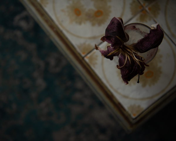 Welke Blume in einem Glas auf einem kleinen Tisch, stilles Zimmer.“