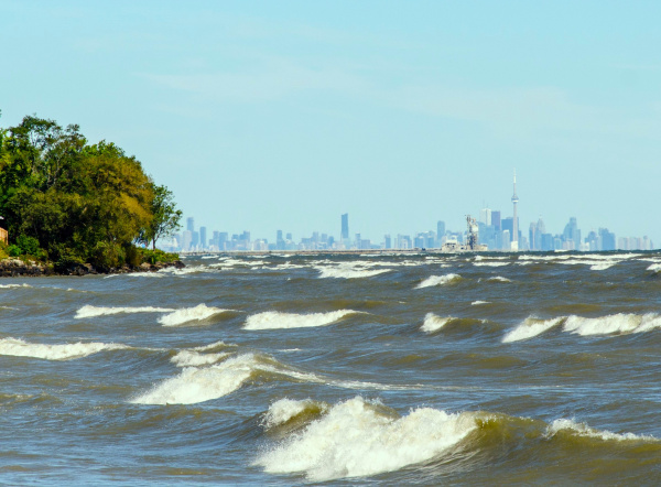 Es ist besser auf den Wellen zu reiten, als in ihnen unterzugehen.
