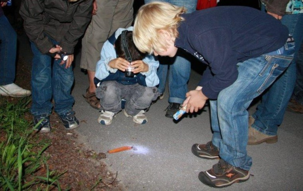Nachwandrung für Familien, Nacktschnecke