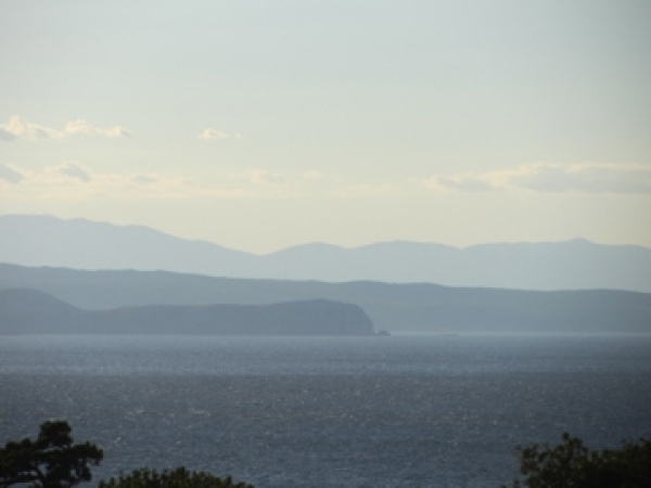 Berge und Meer; Bäume im Vordergrund